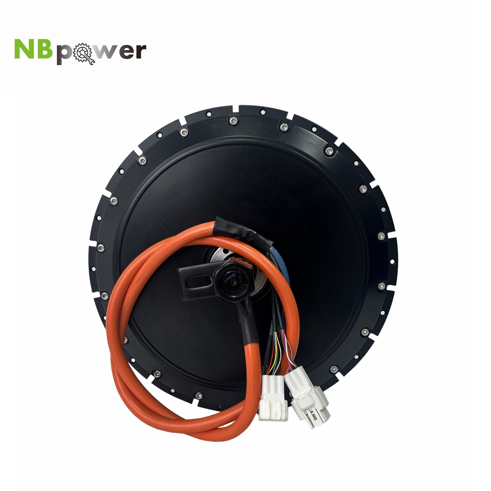 Qs Motor 273 8000W Hub Motor - Motor de Cubo Traseiro para Bicicleta