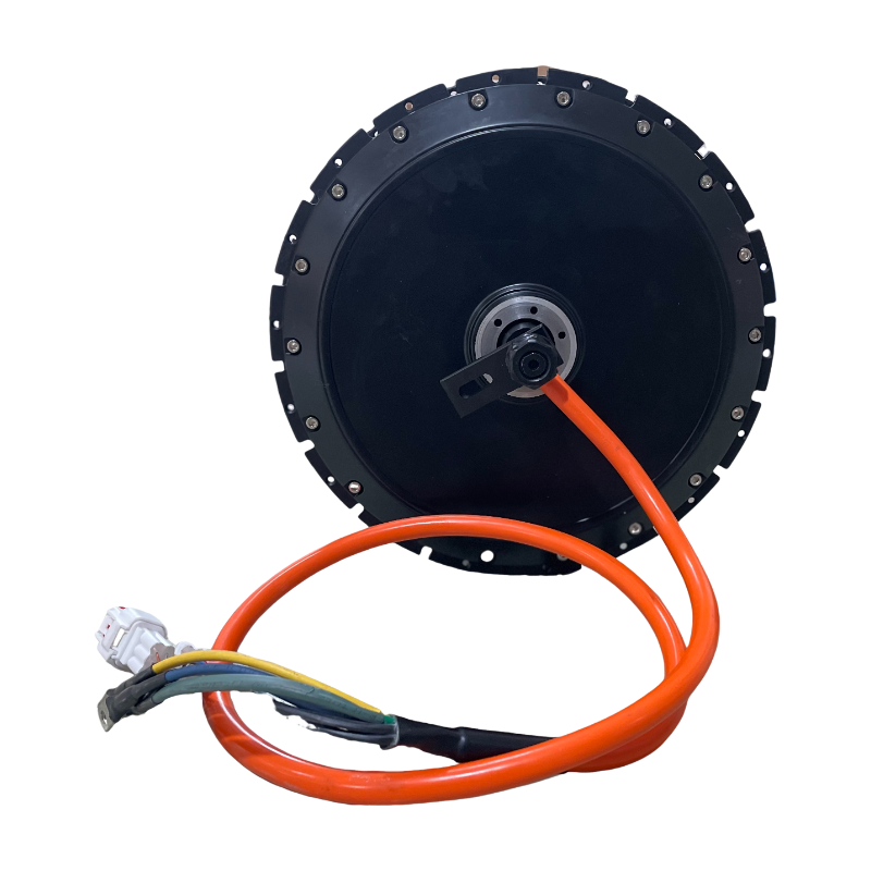 Qs Motor 273 8000W Hub Motor - QS 273 40H V3 4000W com