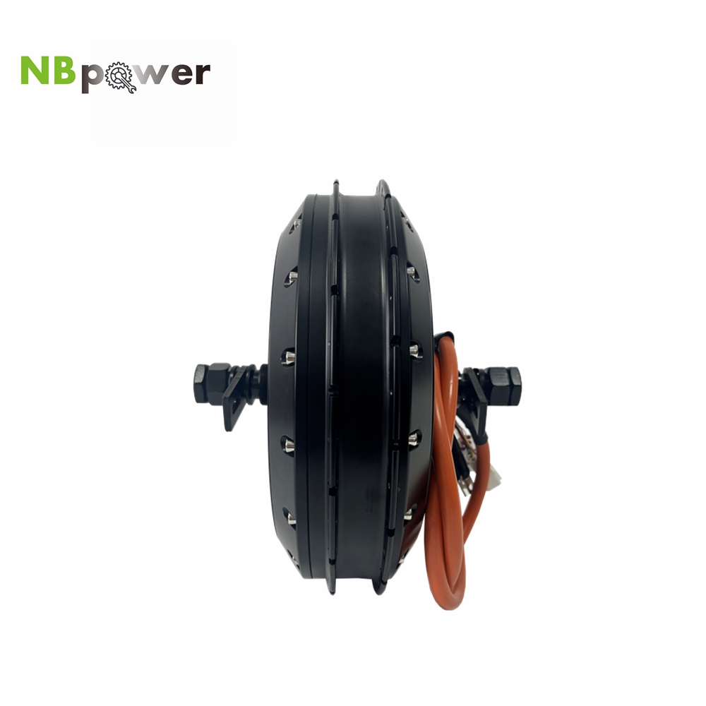 Motor de Cubo Traseiro para Bi - Qs Motor 273 8000W Hub Motor avaliação e preço